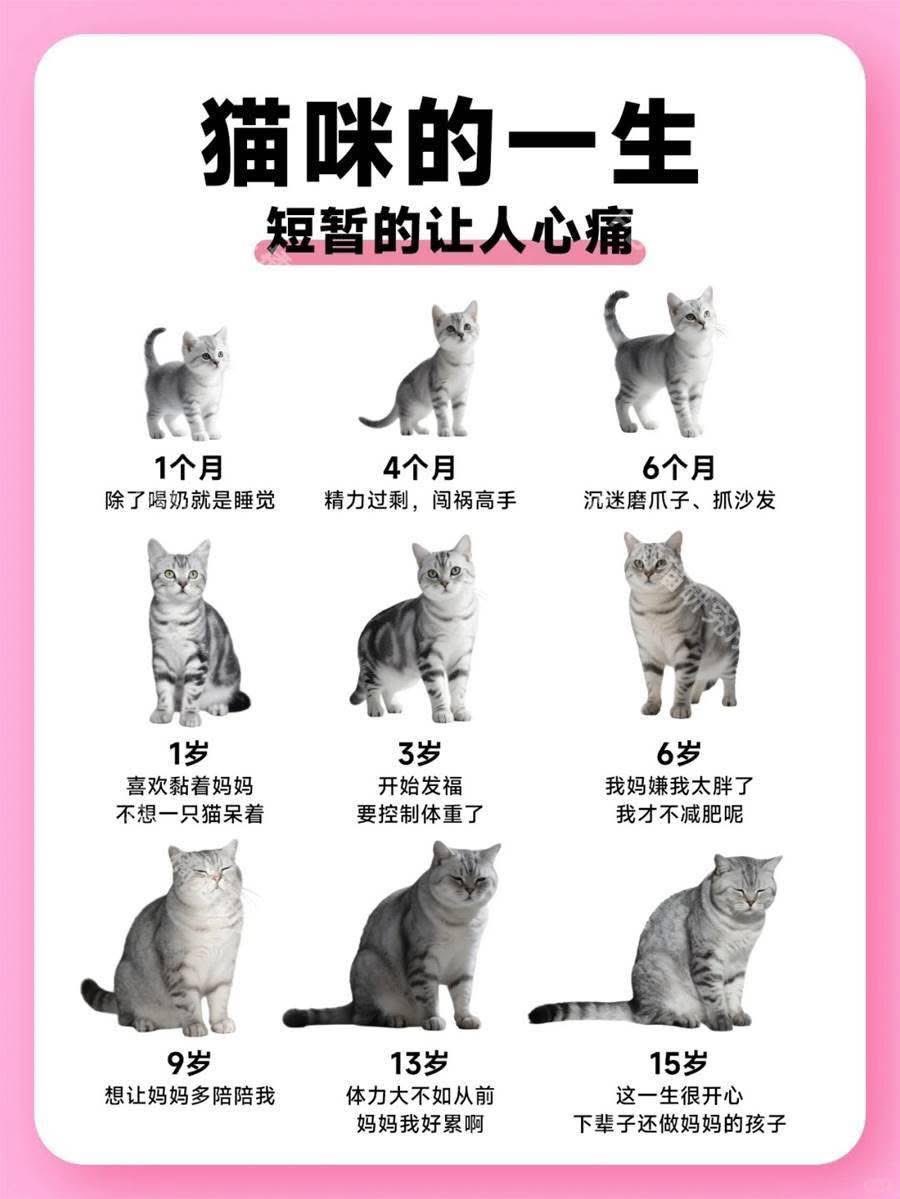 吃瓜党人🇯🇵✝️ tweet media