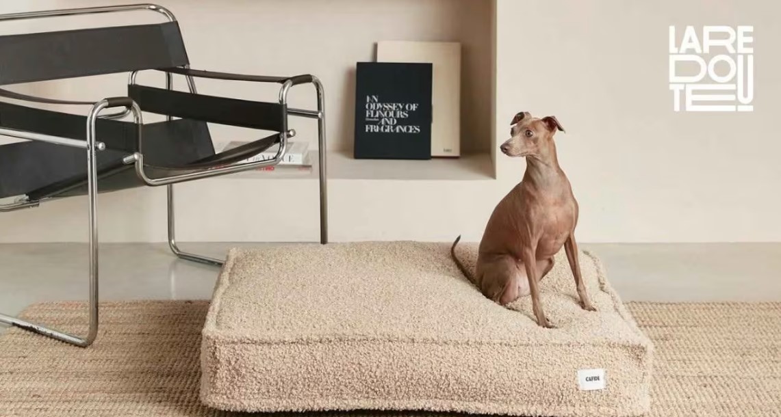 Ecommercemag.fr (@ecommercemag_fr) on Twitter photo 🐶 La Redoute se lance dans le pet lifestyle !
🐾 <a href="/LaRedouteFr/">La Redoute</a> débarque sur le marché des accessoires pour animaux !
📦 Une nouvelle offre dédiée chiens & chats sur sa marketplace, portée par l’amour croissant des Français pour leurs compagnons 🐕
🐈⬛
👉 ecommercemag.fr/Thematique/ret… 🐶 La Redoute se lance dans le pet lifestyle !
🐾 <a href="/LaRedouteFr/">La Redoute</a> débarque sur le marché des accessoires pour animaux !
📦 Une nouvelle offre dédiée chiens & chats sur sa marketplace, portée par l’amour croissant des Français pour leurs compagnons 🐕
🐈⬛
👉 ecommercemag.fr/Thematique/ret…
