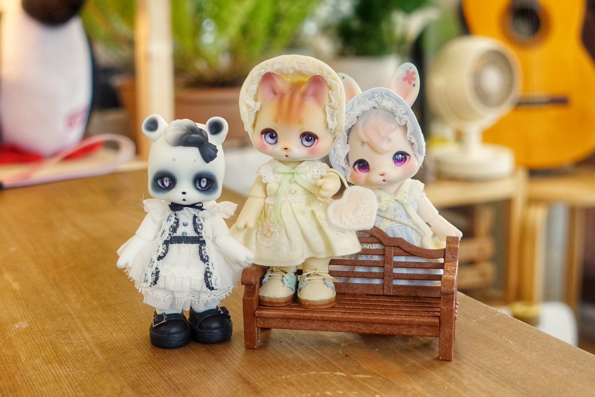 🐻‍❄️🐱🐰
#쿠무쿠쿠 #kumukuku #베리베티