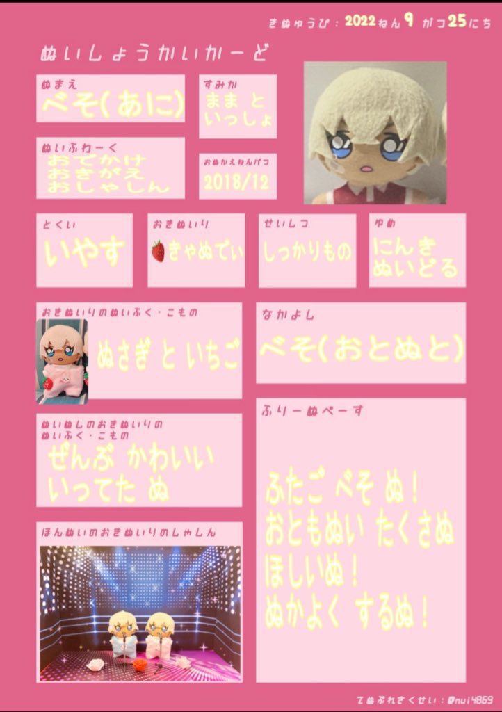 雨゚゚゚̥̥̊ママ☔のぬい tweet media