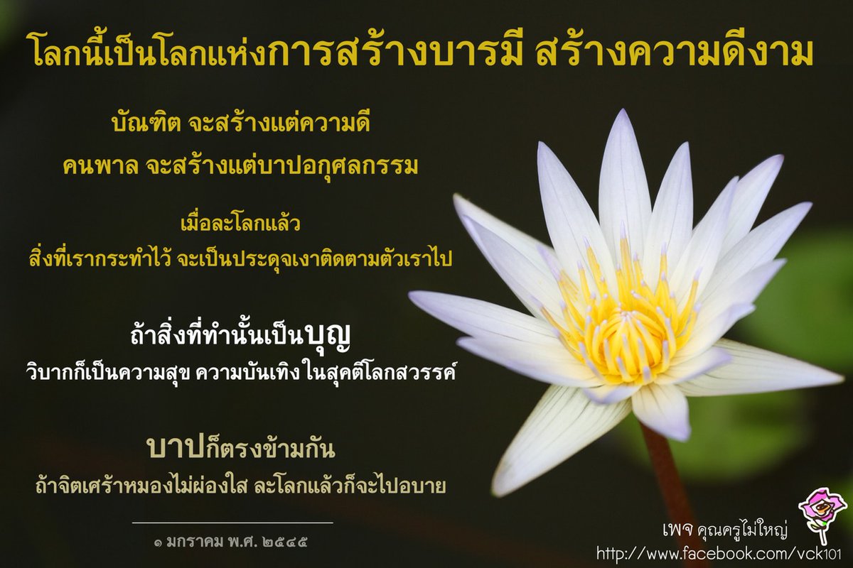คุณครูไม่ใหญ่ (หลวงพ่อธัมมชโย) tweet media