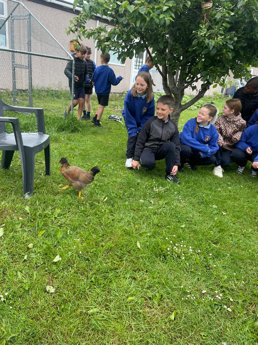 Uno and Shelly are back from their little holiday! They love wandering about the school garden. <a href="/BioInSchools/">Biodiversity in Schools</a> <a href="/SIROIreland/">SIRO Ireland</a> #NatureHeroes #beeChampions