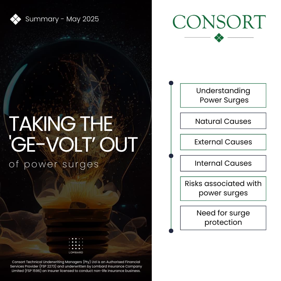 𝗥𝗲𝗮𝗱 𝗺𝗼𝗿𝗲 📖 : consort.co.za/lets-take-the-…

#TrustedEngineeringInsurance #Consort #PowerSurge #Risks
