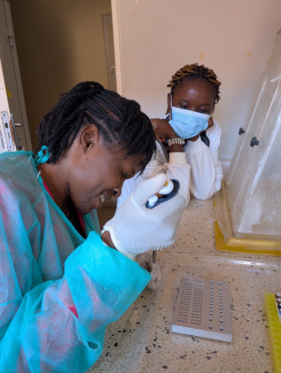 PANDORA-ID-NET tweet media