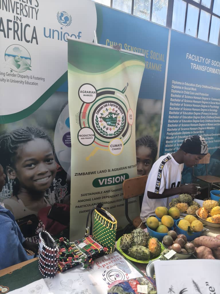 Zimbabwe Land and Agrarian Network tweet media