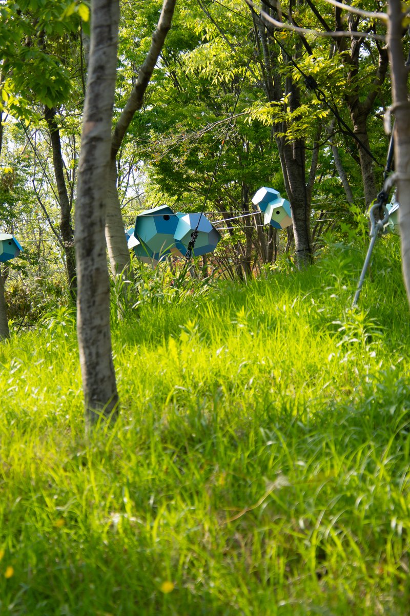 大阪・関西万博 - 静けさの森
#EXPO2025 #大阪関西万博 #きたぞ万博 #HelloEXPO2025