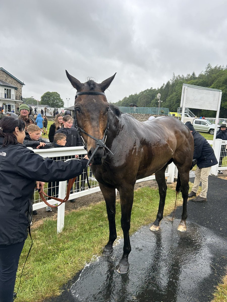 GaryHanmerRacing (@ghanmerracing) on Twitter photo Fantastic day at <a href="/Cartmelrace/">Cartmel Racecourse</a> yesterday as Sir Tivo makes his owners very happy despite the rain. such a tough little horse. Well done to all the staff at home that continue to work so hard getting these horses ready Fantastic day at <a href="/Cartmelrace/">Cartmel Racecourse</a> yesterday as Sir Tivo makes his owners very happy despite the rain. such a tough little horse. Well done to all the staff at home that continue to work so hard getting these horses ready