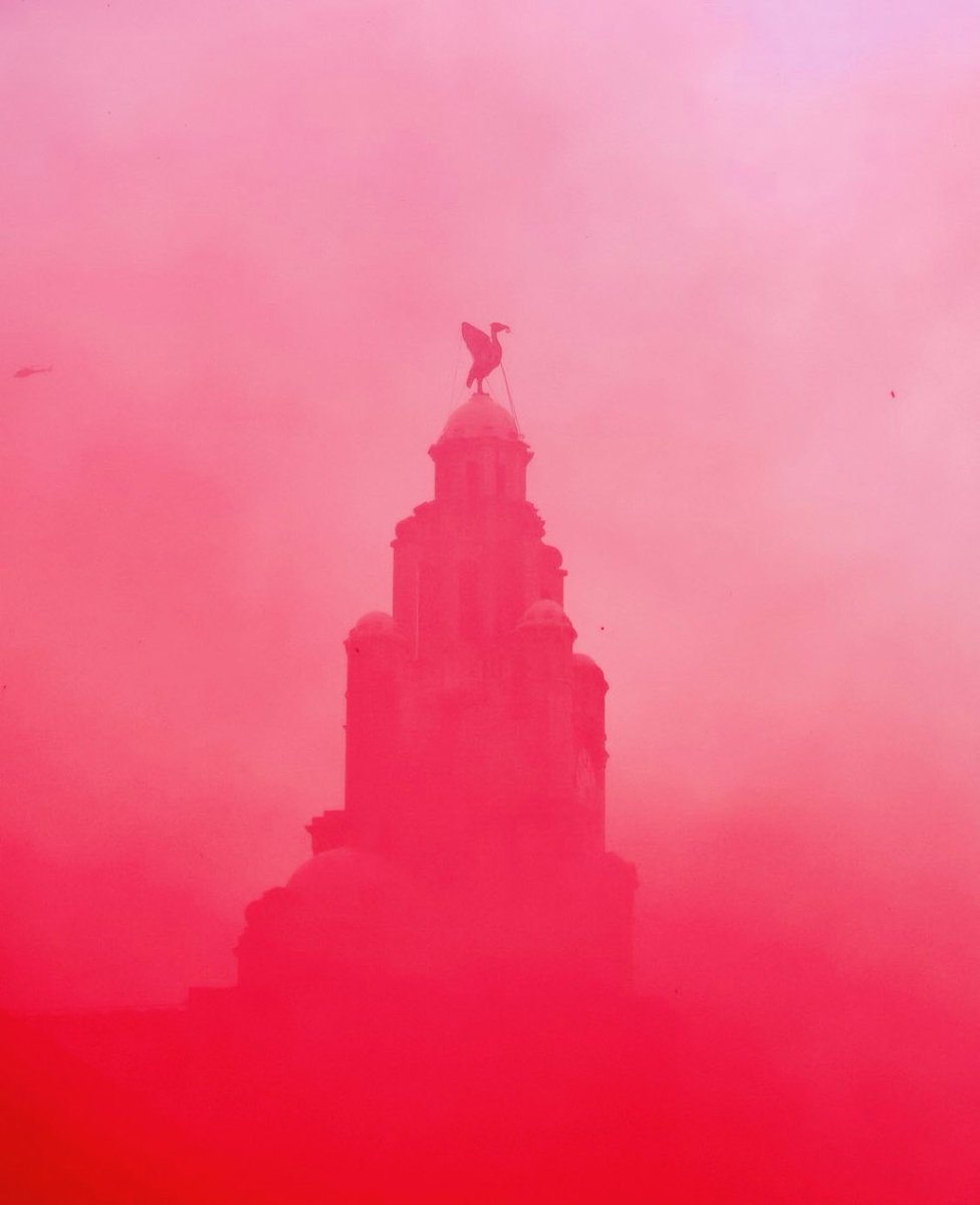 Bridgey136's tweet image. ❤️