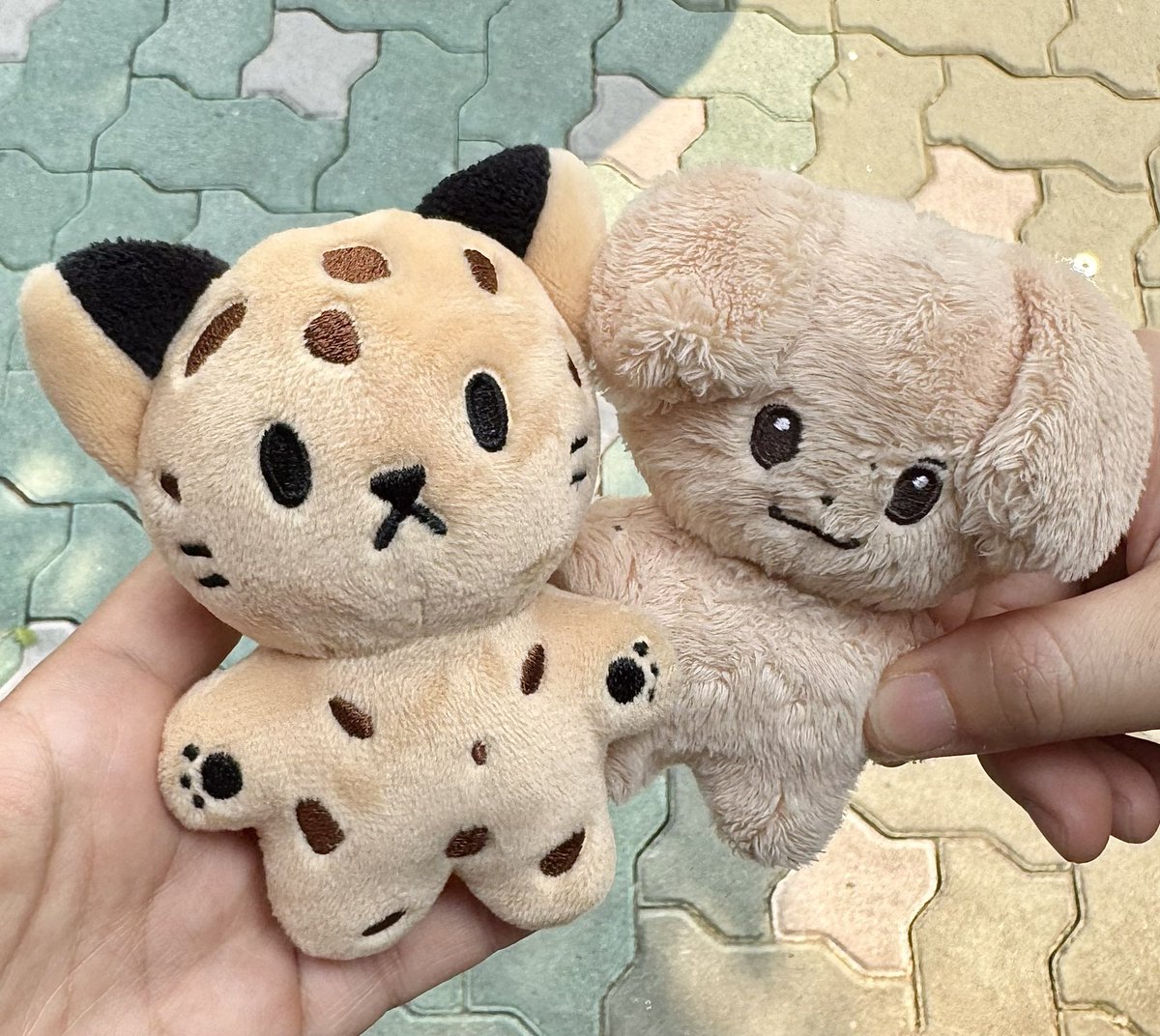 생일아기들 축하해요
쌍둥이자리 소녀들 사랑해요🐆🐶🩷🪐