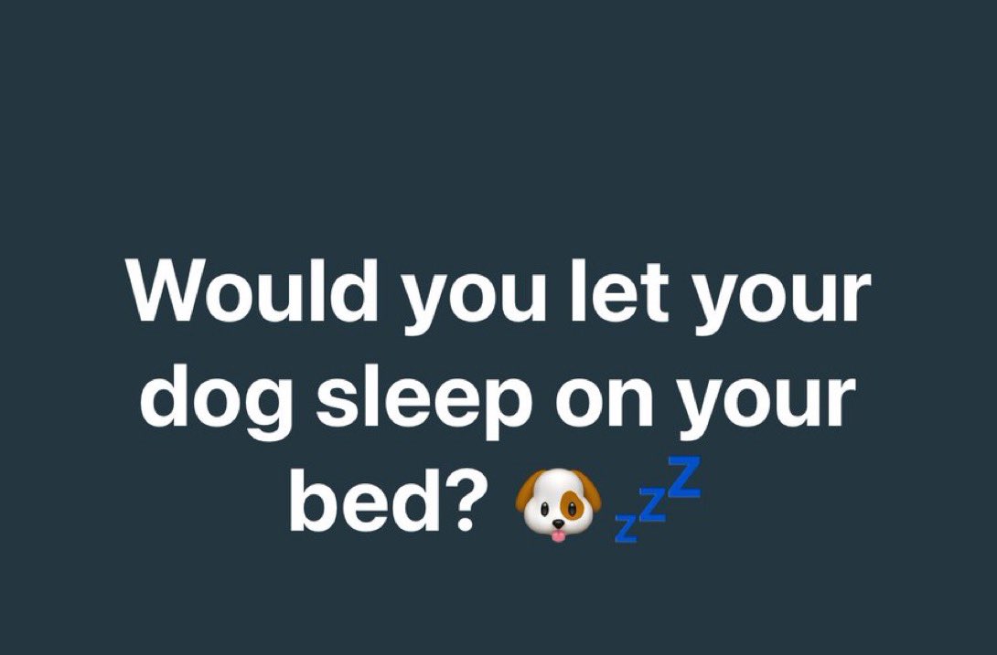 Puppies 🐶 tweet media
