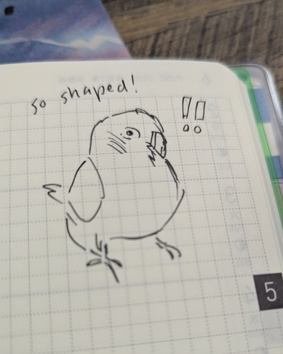 talibirding's tweet photo. https://t.co/zqaS2sqwBj
