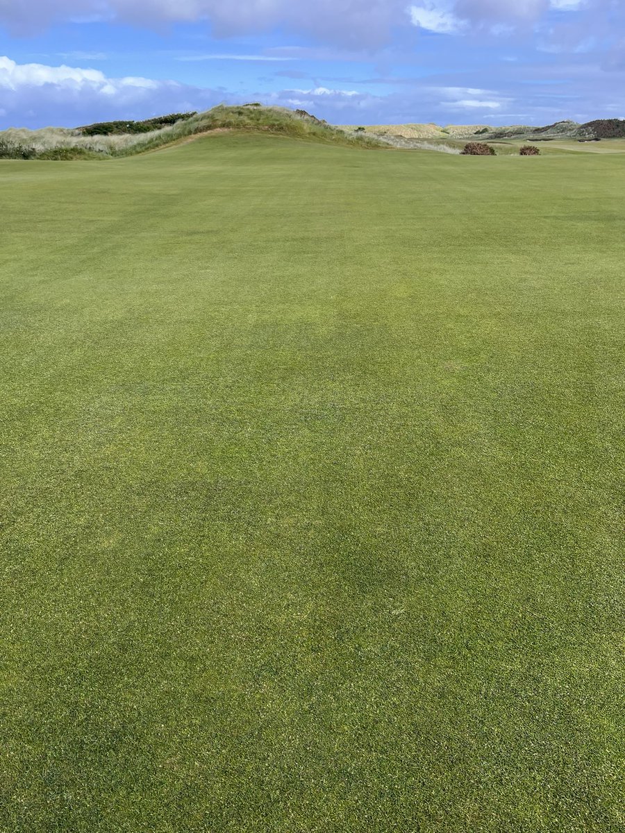 Darren McLaughlan tweet media