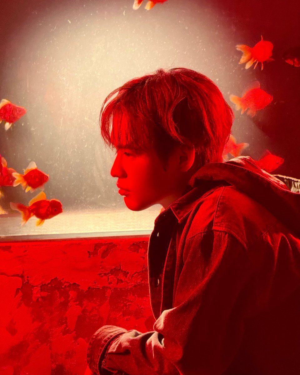 NCTsmtown's tweet image. in lucid light

#CHENLE #천러
#灿 #CHENLE_灿
#NCT #NCTDREAM