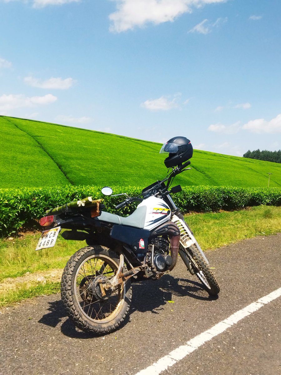 FOR SALE ! FOR SALE!
These two beautiful 2 strokes are on sale at a very good price 💯 
Dt125 85,000/=
Dt175 95,000/=
The bikes are running smoothly, and 125 need rings replacement and engine oil...
Kindly contact 0105630715