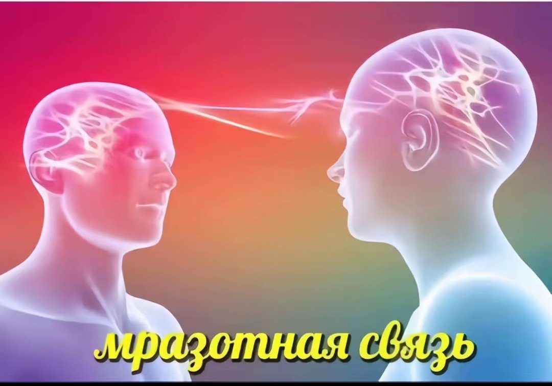 Сорока🎐 tweet media