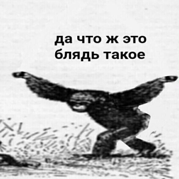 Сорока🎐 tweet media