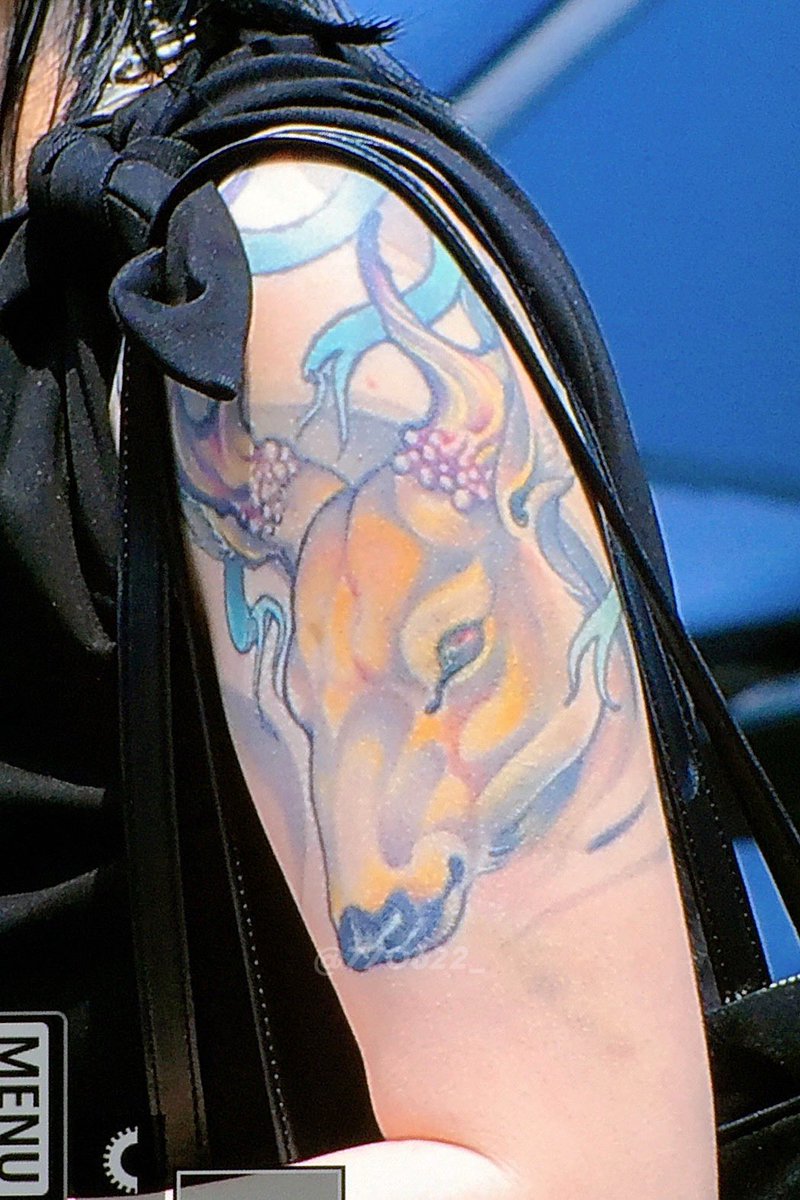 김이불 tweet media