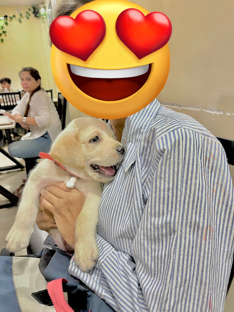 Avoid_potato's tweet photo. Suggest a name for this cutie.🥰 https://t.co/m0Bvssf63E