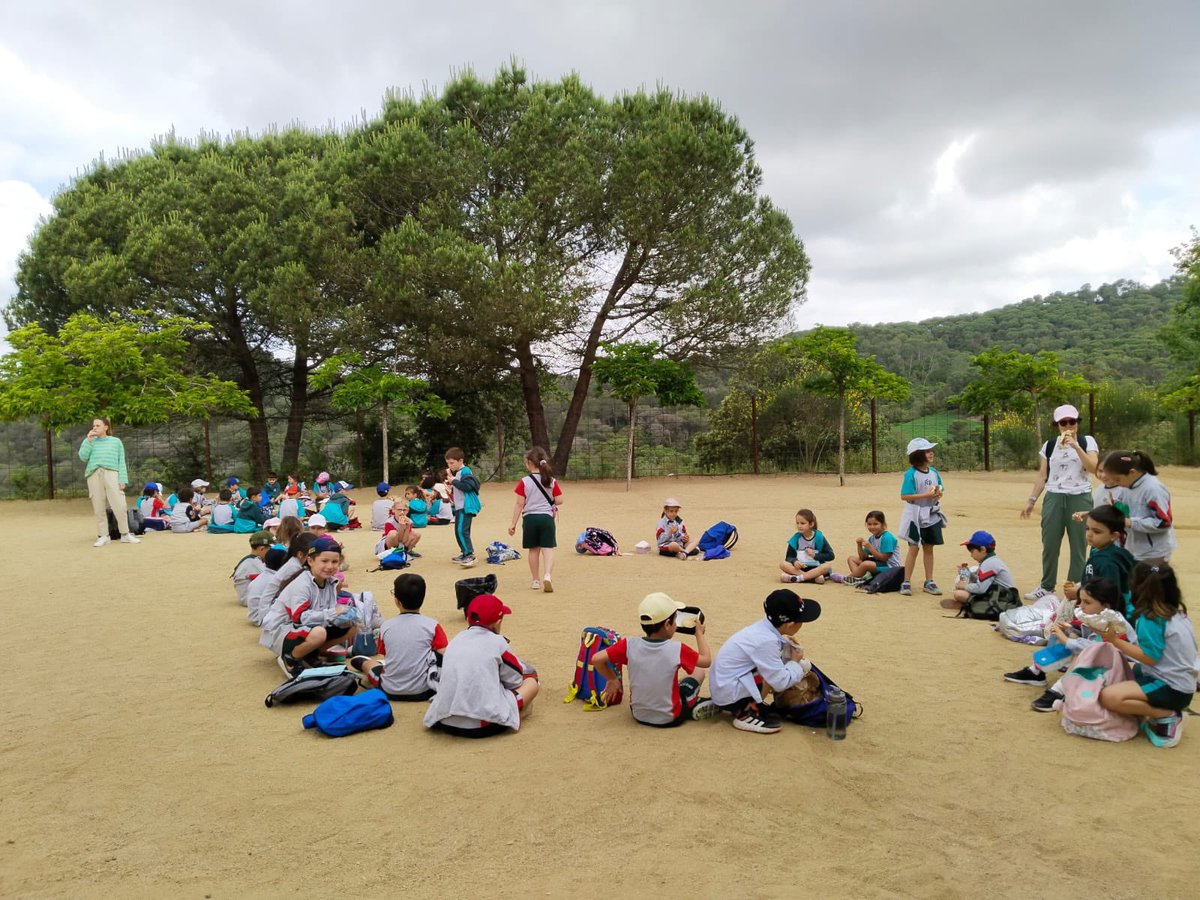 Col·legi Tecla Sala tweet media