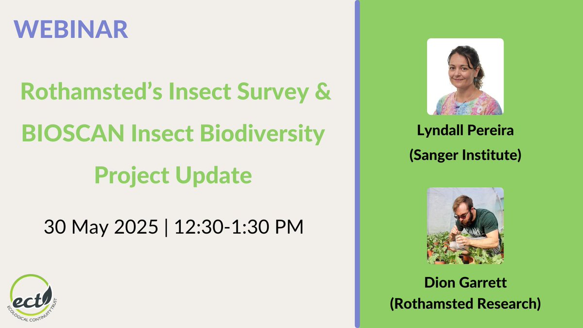 Ecological Continuity Trust (ECT) (@ect_uk) on Twitter photo This Friday’s lunchtime #webinar will feature <a href="/D_Garrett_Ento/">Dion Garrett</a> from <a href="/Rothamsted/">Rothamsted Research</a> & <a href="/LyndallPereira/">Lyndall Pereira</a> from <a href="/sangerinstitute/">Wellcome Sanger Institute</a> talking about <a href="/BIOSCAN_UK/">BIOSCAN in the UK</a>'s #FlyingInsects #Biodiversity project.
Register: bit.ly/ECTWebinarsEve… This Friday’s lunchtime #webinar will feature <a href="/D_Garrett_Ento/">Dion Garrett</a> from <a href="/Rothamsted/">Rothamsted Research</a> & <a href="/LyndallPereira/">Lyndall Pereira</a> from <a href="/sangerinstitute/">Wellcome Sanger Institute</a> talking about <a href="/BIOSCAN_UK/">BIOSCAN in the UK</a>'s #FlyingInsects #Biodiversity project.
Register: bit.ly/ECTWebinarsEve…