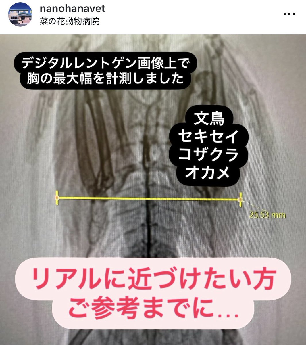 インスタライブで頂いた課題の回答をアップしました。

人形の目的は小鳥の胸を押さえずに首を伸ばす練習なので
最初は自分が持ちやすいサイズで良く
慣れたら愛鳥サイズにトライしてみましょう。

胸幅の参考値は⬇️

文鳥　2.5㎝
セキセイ　3㎝
コザクラ　3.5㎝
オカメ　4〜5㎝