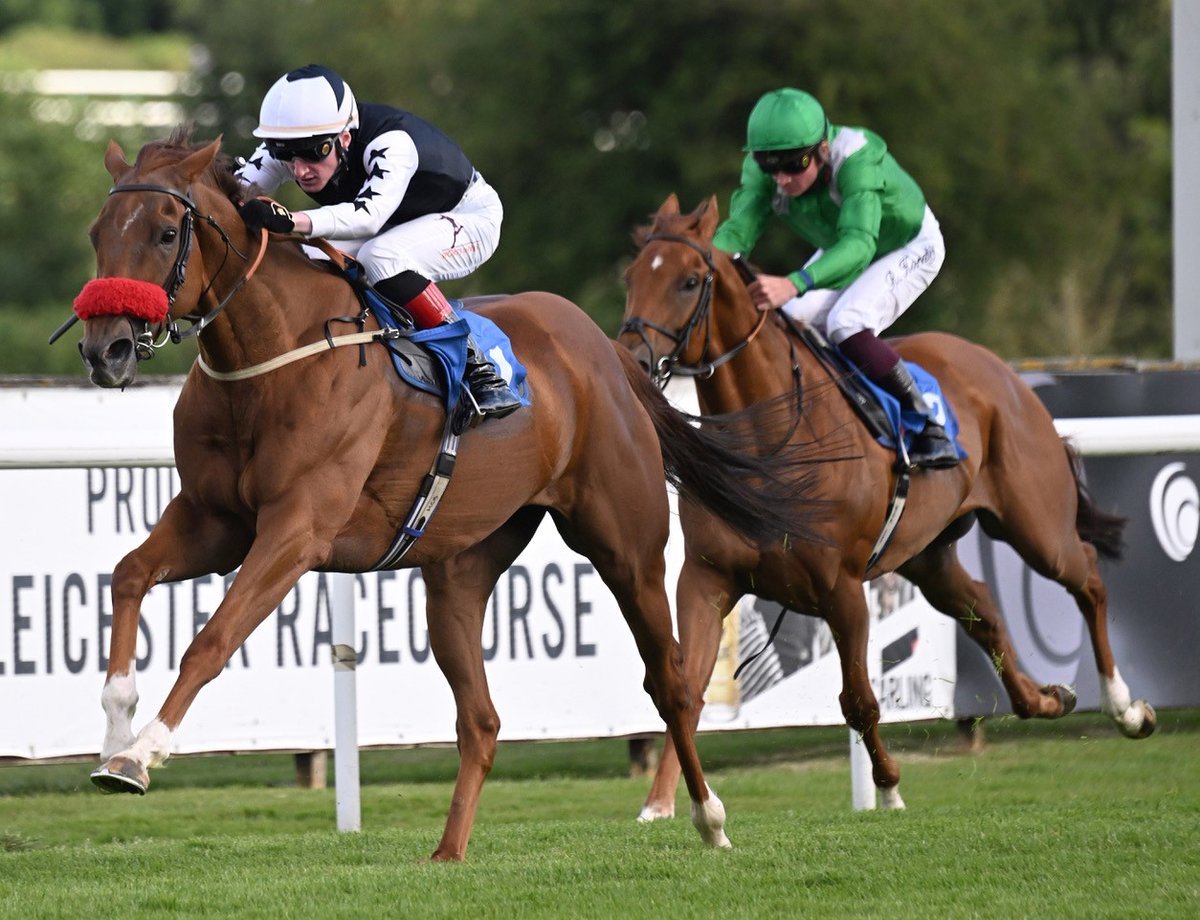 We’re racing again today! 🏇
Join us Tuesday 27th May for Student Day – and no, you don’t have to be a student to attend! 😃

🕛 Doors: 12pm | First Race: 2pm | Last: 5:10pm

🎟️ Tickets: ow.ly/FzLa50VZ2Vk

Tickets also available on the door!
We'd love to see you there! 😃