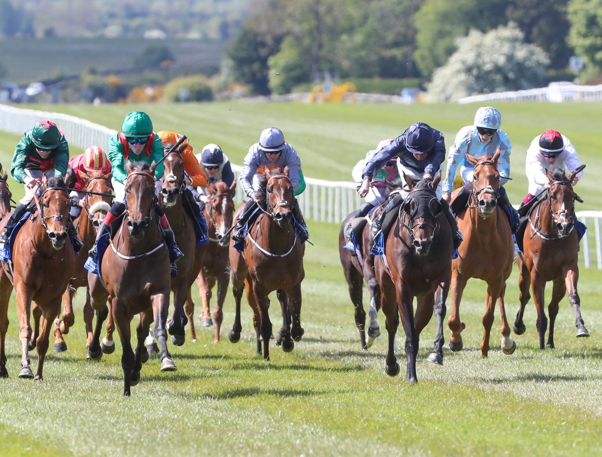 Declarations Are Out Ahead Of Our First Fairy Nights This Thursday 🚨

🐎 Hugo’s Girl
🐎 Send Harry
🐎 Elusive Duke
🐎 Red Veil
🐎 Misappropriation 

See Full Declarations Here - hri-ras.ie/entries/Micros…