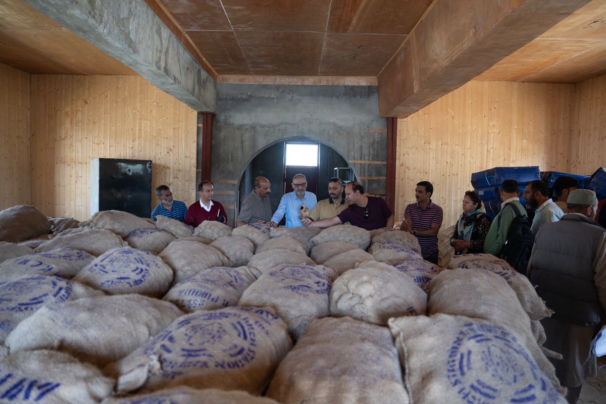 SKUAST-K HADP INNOVATIVE NETWORK (@hadp_k60920) on Twitter photo A Mega Potato Seed Multiplication and supply Chain program was launched today in Budugam, Tulail in Gurez valley under a participatory model, aiming to boost sustainable organic potato seed production in the region. <a href="/skuast_kashmir/">SKUAST Kashmir</a> <a href="/atari1icar/">ICAR-ATARI, Ludhiana</a> <a href="/gurezkvk/">KVK GUREZ</a> A Mega Potato Seed Multiplication and supply Chain program was launched today in Budugam, Tulail in Gurez valley under a participatory model, aiming to boost sustainable organic potato seed production in the region. <a href="/skuast_kashmir/">SKUAST Kashmir</a> <a href="/atari1icar/">ICAR-ATARI, Ludhiana</a> <a href="/gurezkvk/">KVK GUREZ</a>