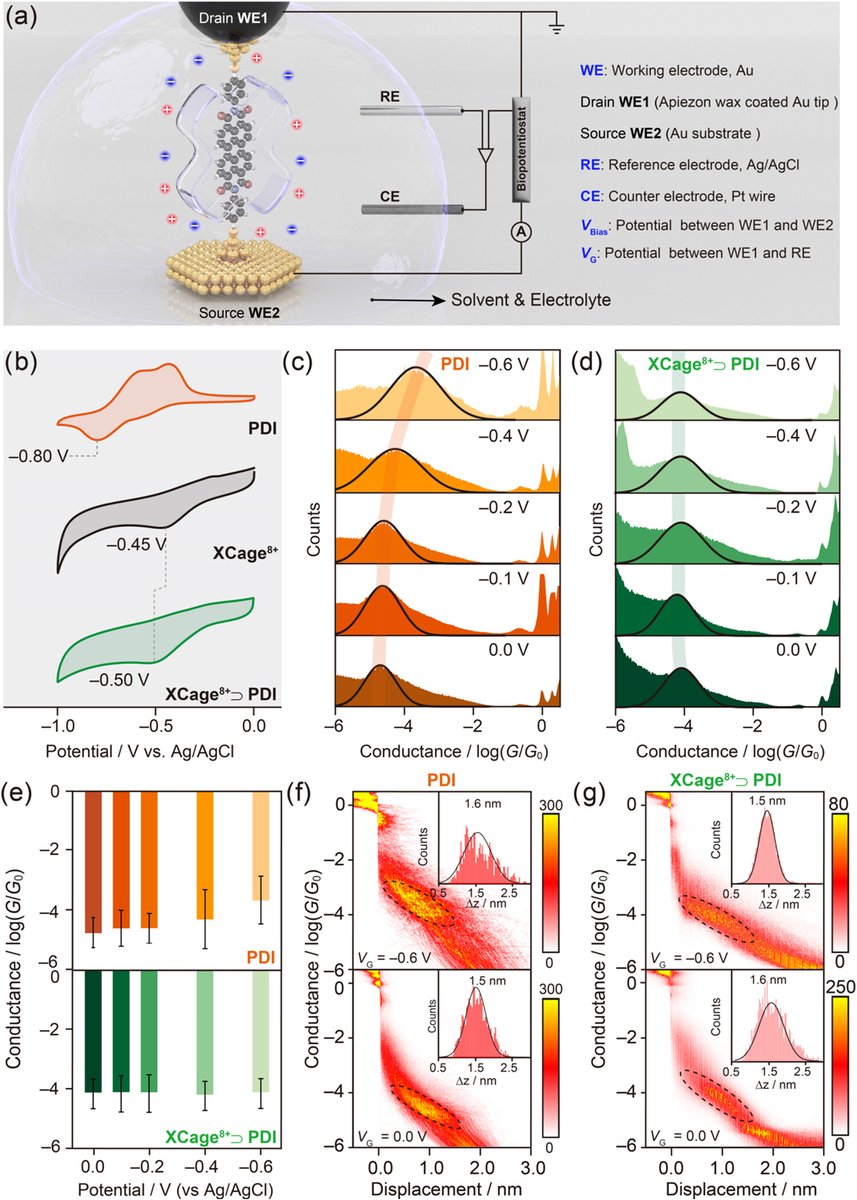 HongliangChen18's tweet image. Excited to unveil our new research in Supramolecular Electronics, now out in @J_A_C_S :  

An electric molecular Faraday cage!  

Honoring the legacy of my extraordinary mentor, Sir Fraser Stoddart @sirfrasersays His brilliance continues to inspire.