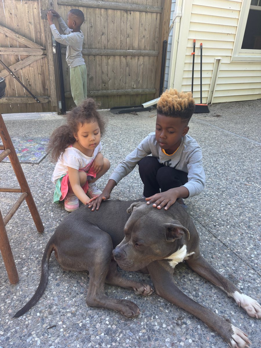 Lisa Davis, MPH tweet media