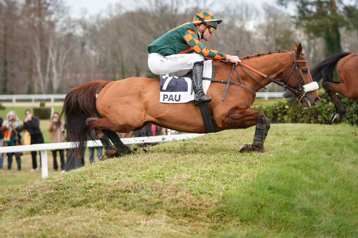 Charly Milpied (@charlymilpied) on Twitter photo Encore une belle aventure grâce à <a href="/GrallErwan/">Écurie Erwan Grall</a> !
Direction Le Lion d'Angers, ce jeudi, pour voir notre P'tit Louis participer à l'une des courses les plus spectaculaires au monde.
🐴 Louis Malpic au départ de l'Anjou Loire Challenge 😍 Encore une belle aventure grâce à <a href="/GrallErwan/">Écurie Erwan Grall</a> !
Direction Le Lion d'Angers, ce jeudi, pour voir notre P'tit Louis participer à l'une des courses les plus spectaculaires au monde.
🐴 Louis Malpic au départ de l'Anjou Loire Challenge 😍