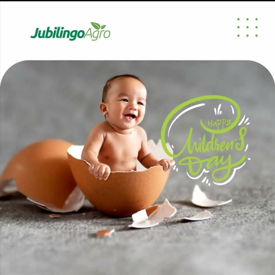jubilingoagro's tweet photo. Happy Children's Day

#ChildrensDay #agriculture #poultryfarming #nigerianfarmers #dayoldchicks #jubilingoagro https://t.co/1EdvFbmb9G