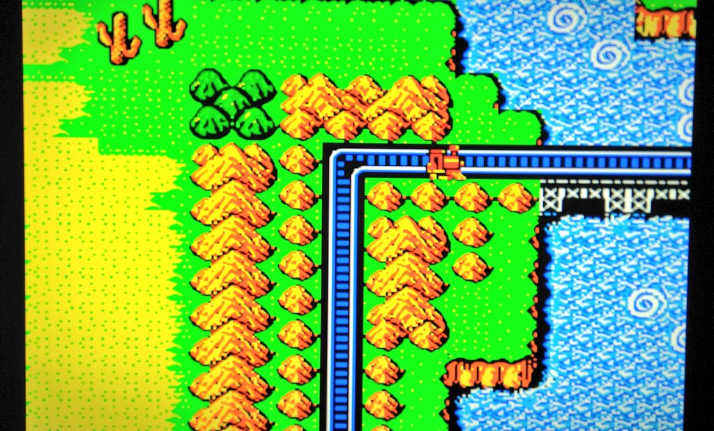 ネコッテ🐾 tweet media