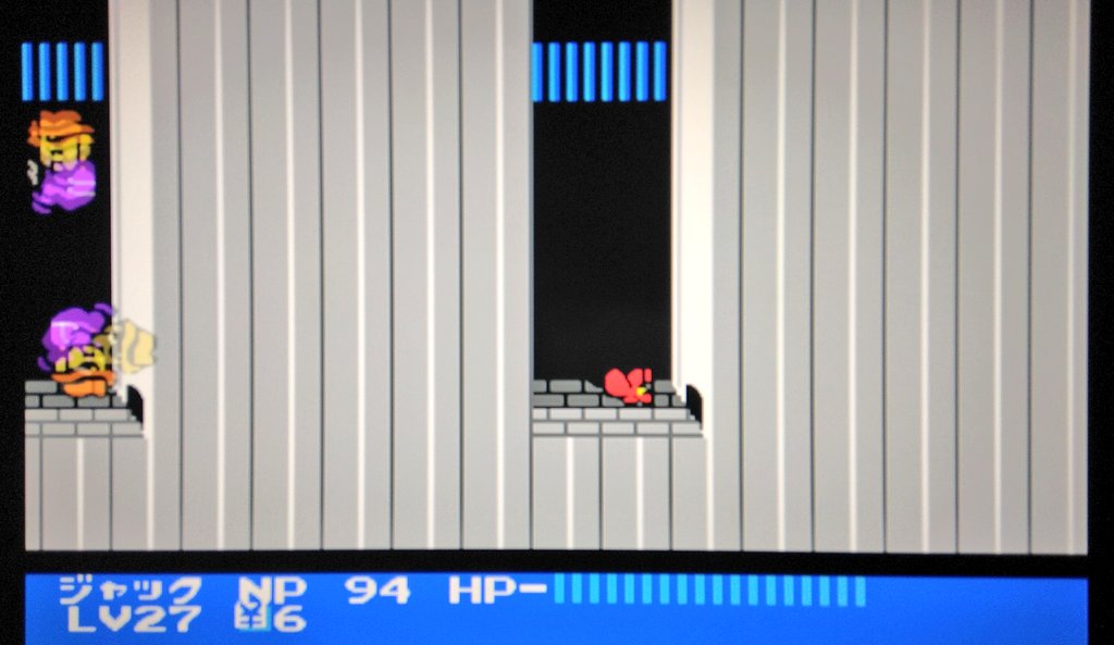 ネコッテ🐾 tweet media