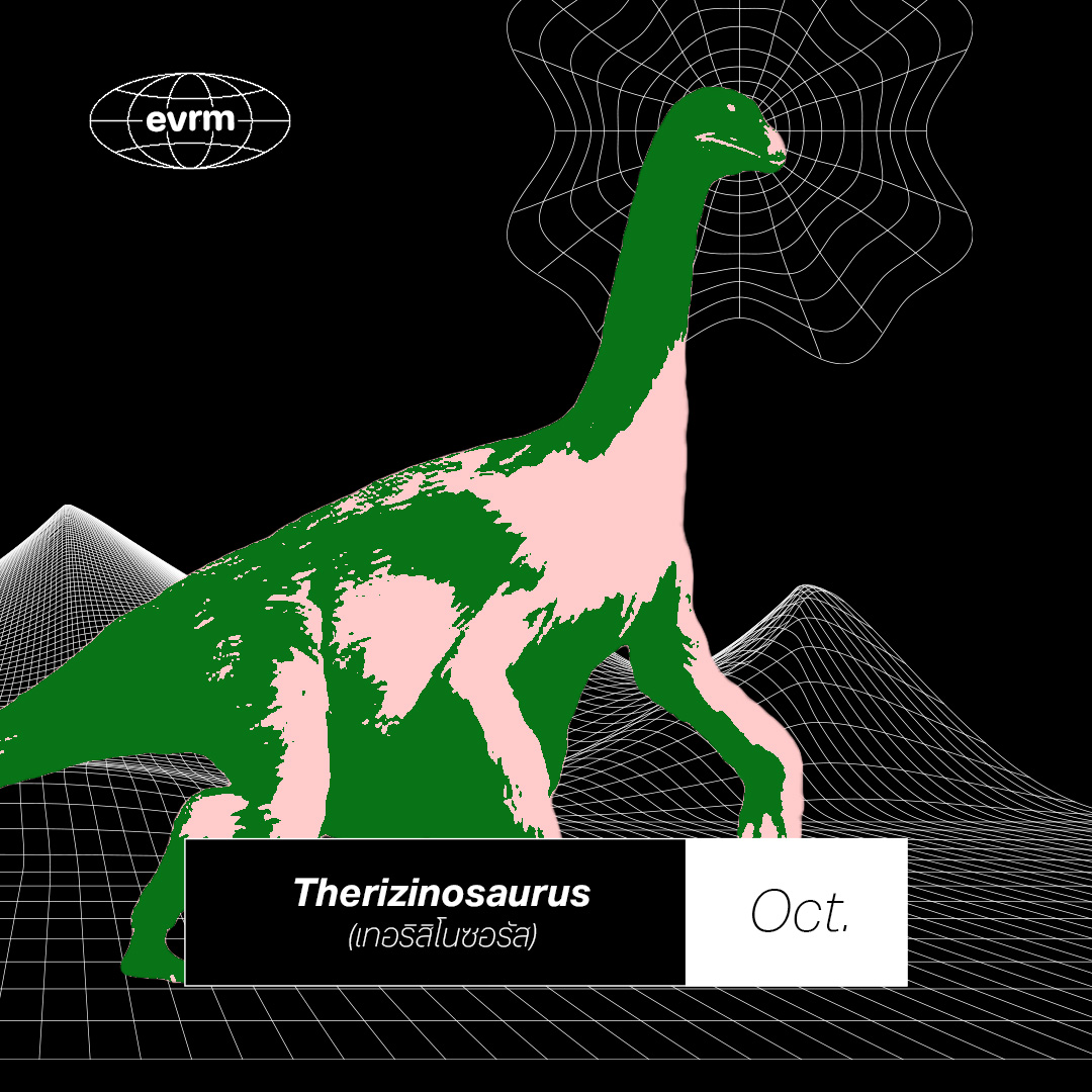 environmanth's tweet photo. (10) ตุลาคม = เทอริสิโนซอรัส (Therizinosaurus)
หากจะมีใครสู้กับ ทีเร็กซ์ ก็คงจะเป็นตัวนี้ (แต่อยู่กันคนละช่วงเวลากัน) แม้จะมีรูปร่างประหลาดจากสะโพกที่กว้างและพุงที่ย้อย ทว่ากลับใหญ่เท่ากันจนยืนวัดกับนักล่าที่หนัก 6 ตันได้พร้อมกับขาหน้า (หรือมือ) ที่มีกรงเล็บสามารถยาวได้ถึง 50 ซม. ถึงจะมีภาพลักษณ์แบบนั้นแต่ เทอริสิโนซอรัส กลับกินพืชเป็นอาหารหลัก ไม่ใช่เนื้อ

หากคุณได้ เทอริสิโนซอรัส ดูเหมือนว่าคุณจะเป็นคนที่ดูภายนอกน่ากลัว เข้าถึงยากแต่ทว่าไม่ทำร้ายผู้อื่น(เพื่อกินเนื้อ) อยู่อย่างสงบแต่ก็พร้อมสวนด้วยกรงเล็บ และเป็นคนที่มีโลกส่วนตัวสูง