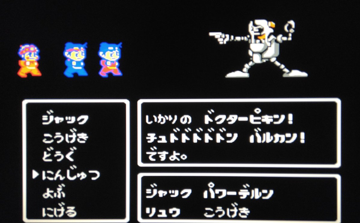 ネコッテ🐾 tweet media