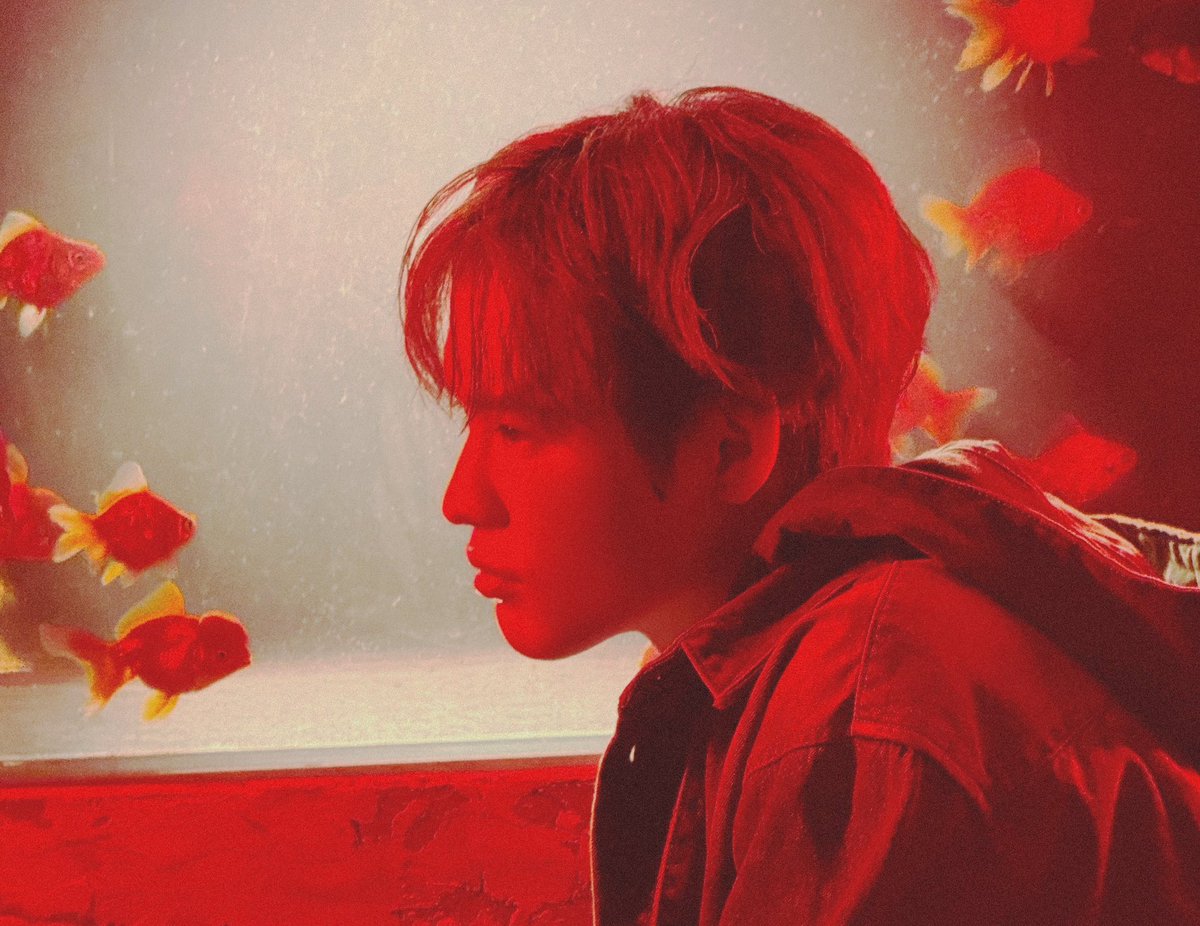 NYZCLS's tweet photo. life’s too short (2022) // 泪桥(tear bridge) (2025) #NINGNING #CHENLE 🐠🪸 https://t.co/lW7PCvK7Rq