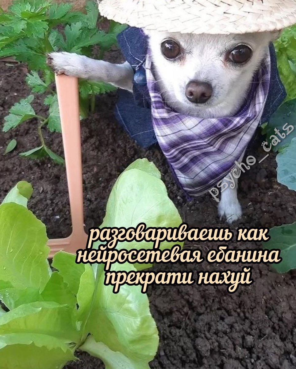 ⛓️💖 эмси быдло базовичок. (@fucker_kun) on Twitter photo 