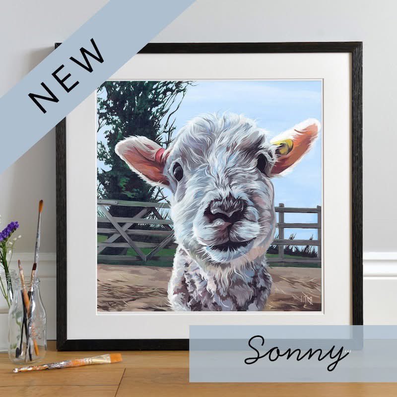 New! A herdwick lamb joins the Lauren’s Cows herd. Let me know what you think! 

laurenscows.com/product/sonny/

#herdwicklambs #herdwicksheep