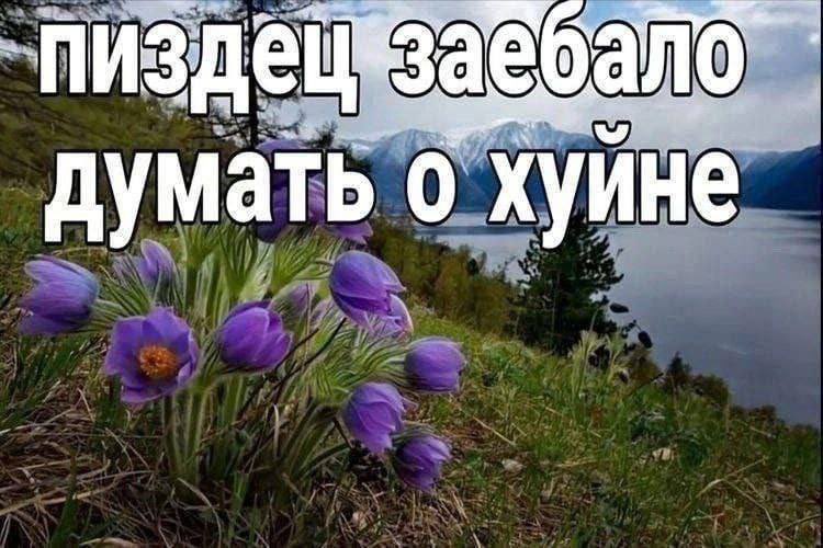 4ebotov's tweet image. 