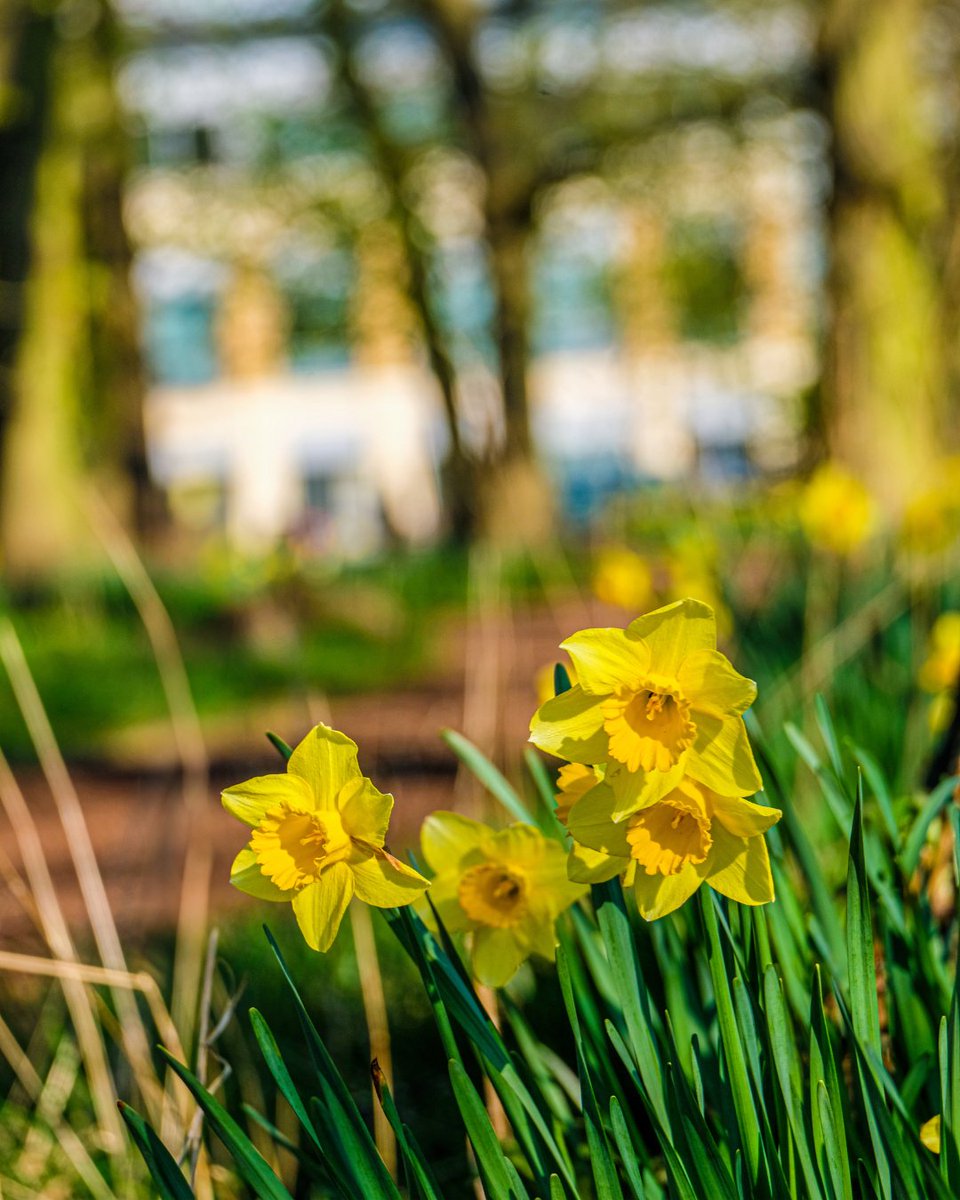 Step out. Breath in. Recharge.

Productivity meets peace of mind. Take a moment to unwind by the lake or enjoy a mindful walk through our beautiful woodland paths.

#BirminghamBusinessPark #workplacebalance