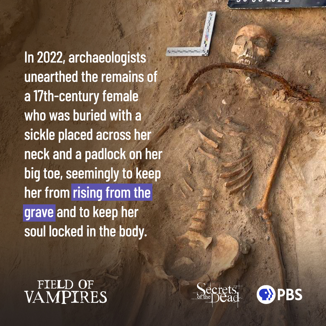 SecretsPBS's tweet image. Why was a 17th century woman buried with a sickle across her neck? What were her buriers afraid of? ow.ly/e5gP50VXU3J