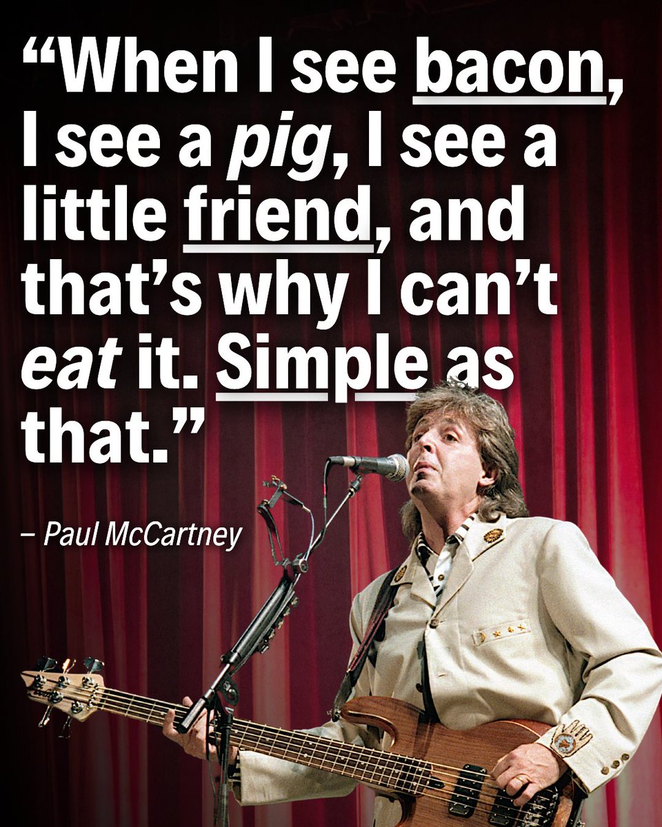 See the friend, not the food. 🐷 Compassion is simple. 🙏💚

👉 If you love animals, you need to see this film: hiddenlivesofanimals.com 🐽

#quotes #vegancelebrity #veganquotes #quoteoftheday #quotesdaily