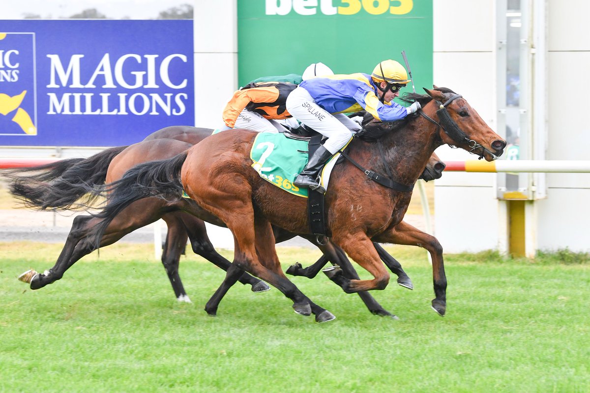 A special milestone at Seymour Racing Club today with apprentice Tom Spillane notching up his first career winner in the RMBL Investments Rising Star Race. 

The win came aboard the Peter Smith trained Swift Hit fittingly at the track where Tom is based 🙌🏻