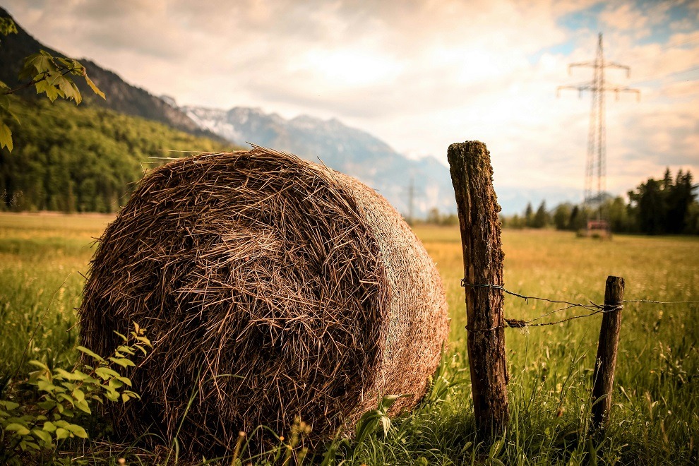 🤲🏻#Allevamenti, #agricoltura e #ambiente.
Nella difesa di ambiente e #biodiversità, agricoltura e allevamenti non sono il problema, ma parte della soluzione. Serve un percorso integrato per realizzare la #sostenibilità ambientale, economica e sociale.
carnisostenibili.it/allevamenti-e-…