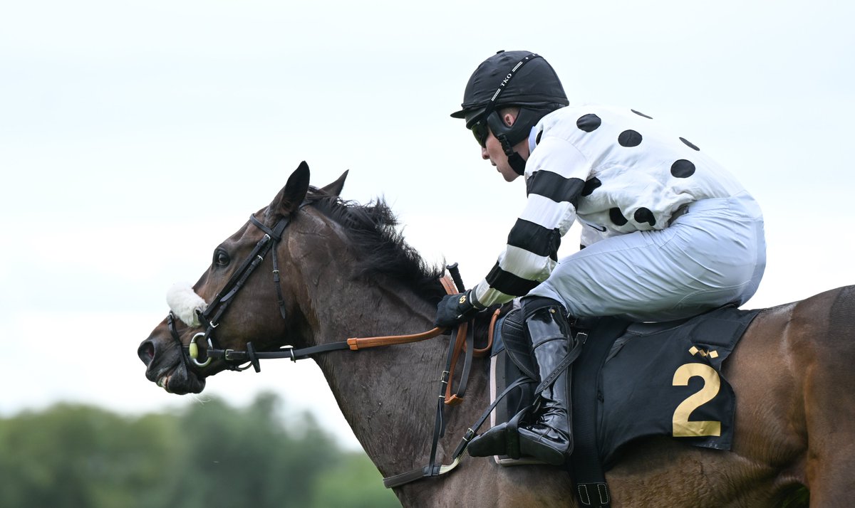Photos from Huntingdon yesterday can now be viewed on my website: francescaaltoft.co.uk/huntingdon-26t…