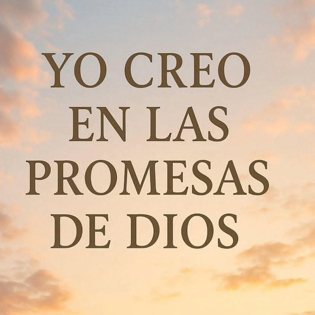 Raymond pozo (@raymondpozo1) on Twitter photo 