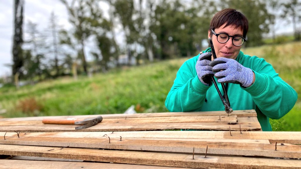Val_Fabian's tweet photo. En el marco del programa #HuertaDeLaCiudad🍅🥦🌼 del @MunicipioBahia, seguimos construyendo bancales de siembra a partir del desarme de #palets reciclados.
Reutilizamos madera en desuso para armar estructuras prácticas, resistentes y accesibles, ideales para producir alimentos.🍅🥦
Cada bancal se construye con tablas recuperadas, lijadas y ensambladas, formando una caja elevada que se rellena con tierra fértil y compost.♻️
Esto permite mejorar el drenaje, reducir el esfuerzo físico en el manejo de la huerta, evitar el pisoteo del suelo y facilitar la organización de los cultivos. Además, al reaprovechar materiales descartados, reducimos residuos y promovemos la economía circular.♻️🌱
Ya los estamos implementando en patios de instituciones y espacios comunitarios de #BahíaBlanca, junto con talleres, entrega de semillas, plantines y brindando el acompañamiento técnico.
Producir de forma agroecológica🌱, con nuestras manos🙌 y en nuestra ciudad, es posible, y lo hacemos en comunidad.💪
#EnEquipo🙌
#HuertasDeLaCiudad #BahíaBlanca #ProducciónSustentable #EconomíaCircular #HuertasAgroecológicas #ComunidadActiva
#LaGestionCerca.