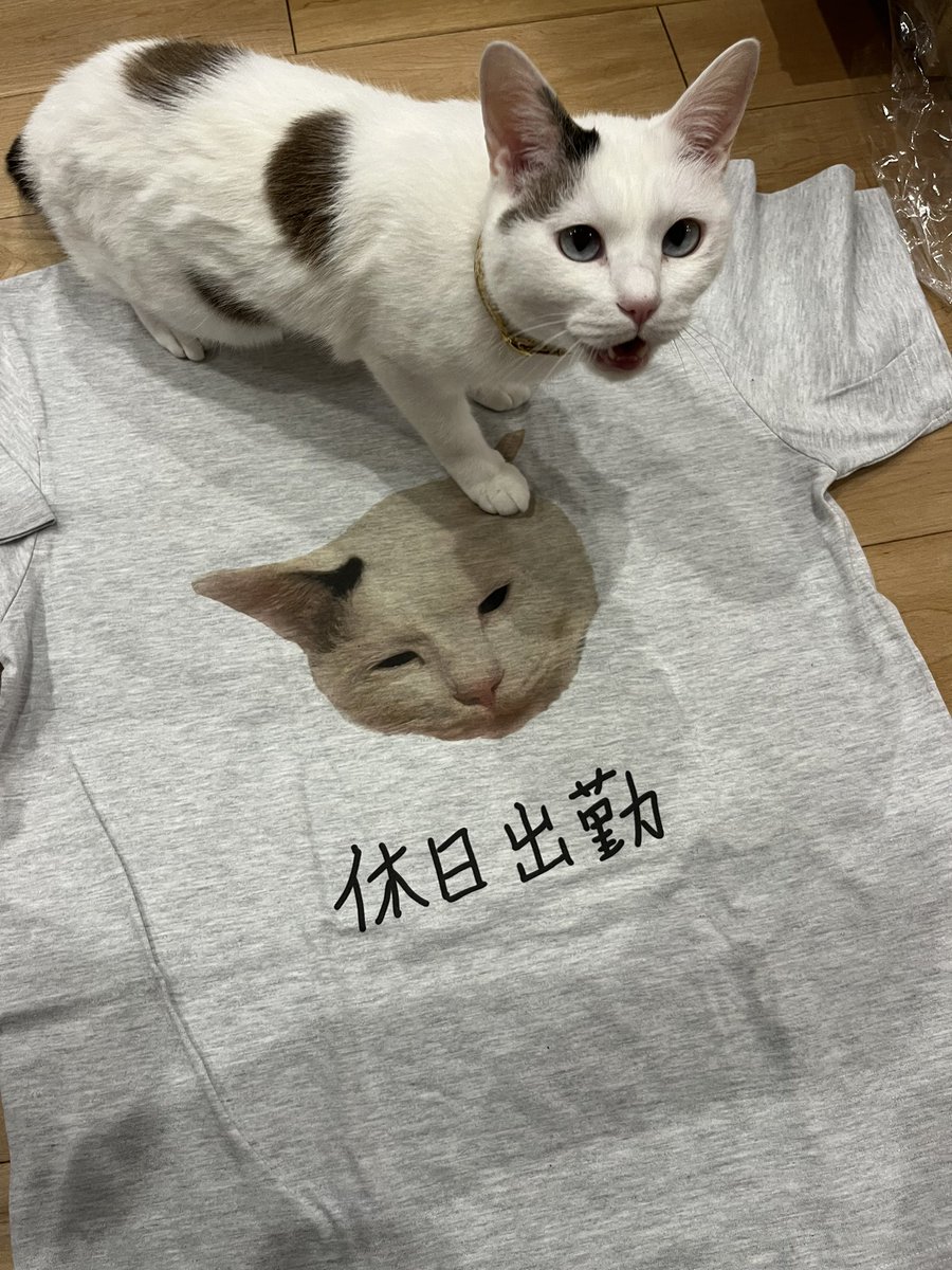 inariraion's tweet photo. こっちもキュート https://t.co/RagXI7Wtnl