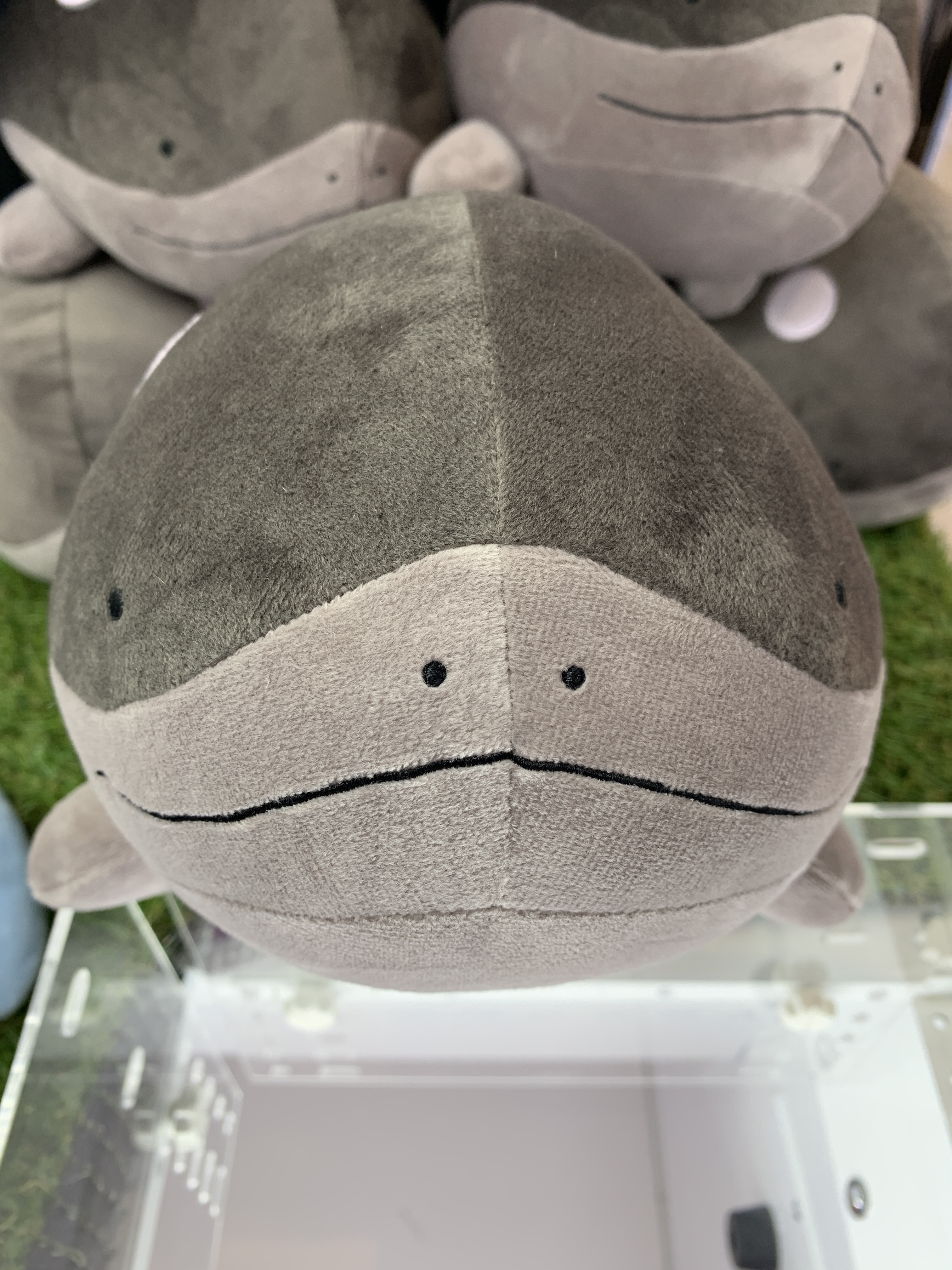 ポケットモンスター もふぐっとぬいぐるみ～ネッコアラ・ドオー